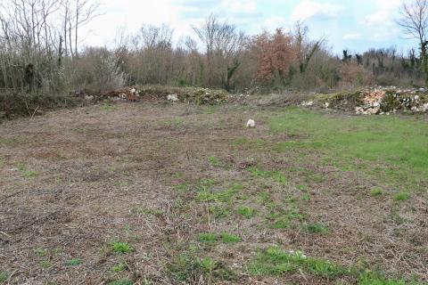 TINJAN, okolica- građevinsko zemlji&scaron;te 605 m&sup2;