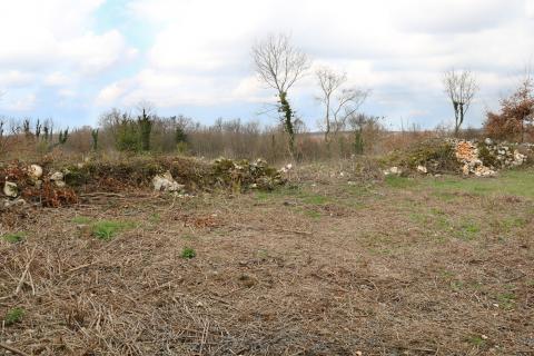 TINJAN, okolica- građevinsko zemlji&scaron;te 605 m&sup2;