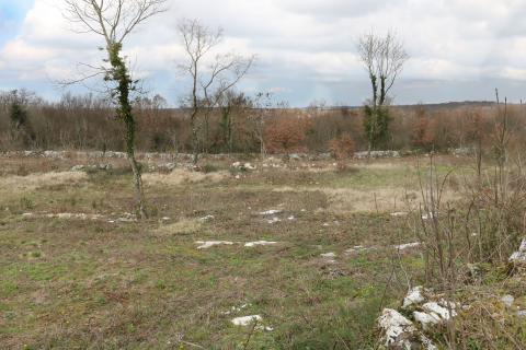 TINJAN, okolica- građevinsko zemlji&scaron;te 605 m&sup2;