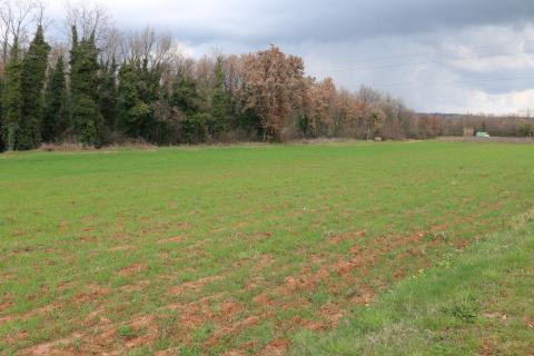 Non-structural plot Poreč, 10.200m2