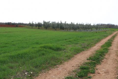 Non-structural plot Poreč, 10.200m2