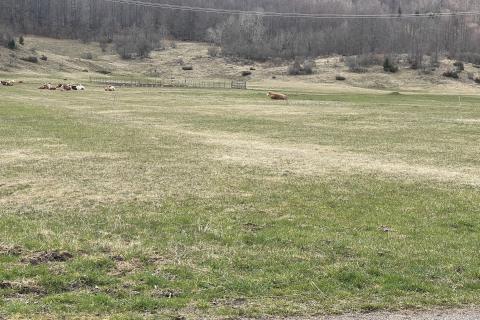 Terreno edificabile Mrkopalj, 2.087m2