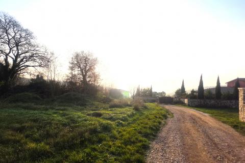 Bauland Nova Vas, Brtonigla, 1.078m2