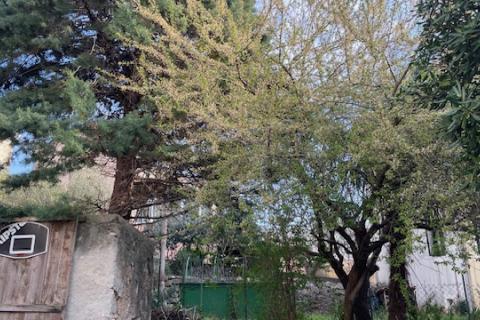 Krk, Punat - staro mestno jedro, hi&scaron;a z dvori&scaron;čem in konobo, blizu morja