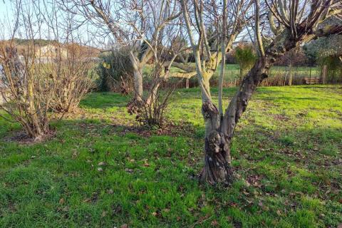 Non-structural plot Medulin, 598m2