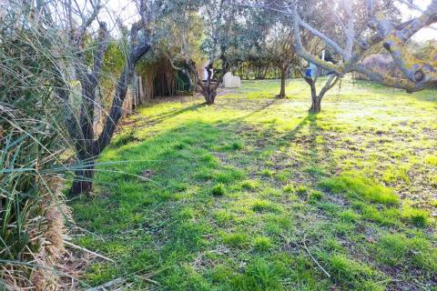 Non-structural plot Medulin, 598m2