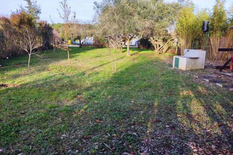 Non-structural plot Medulin, 598m2