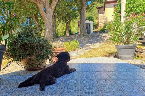 Дом Obr&scaron;, Mo&scaron;ćenička Draga, 78m2