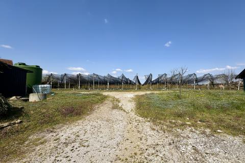 Земельный участок нестроительного назначения Novoselec, Križ, 12,26m2