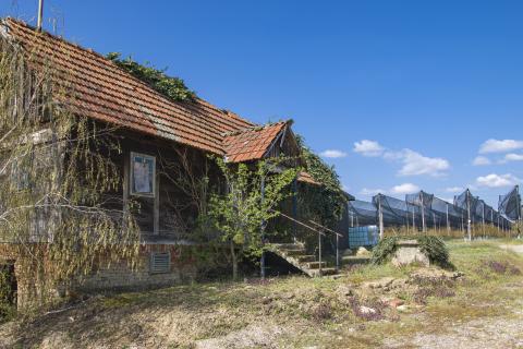 Земельный участок нестроительного назначения Novoselec, Križ, 12,26m2