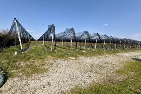 Земельный участок нестроительного назначения Novoselec, Križ, 12,26m2