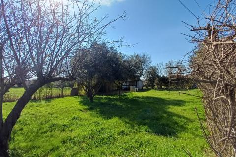 Istra,Medulin-vikend parcela,negrađevinsko zemlji&scaron;te