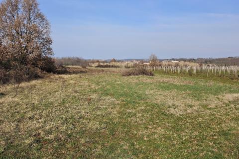 Земельный участок нестроительного назначения Čepljani, Umag, 2.490m2