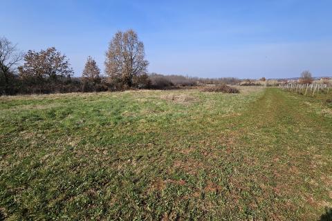 Земельный участок нестроительного назначения Čepljani, Umag, 2.490m2