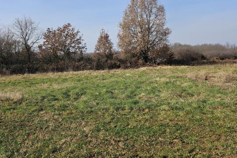 Земельный участок нестроительного назначения Čepljani, Umag, 2.490m2