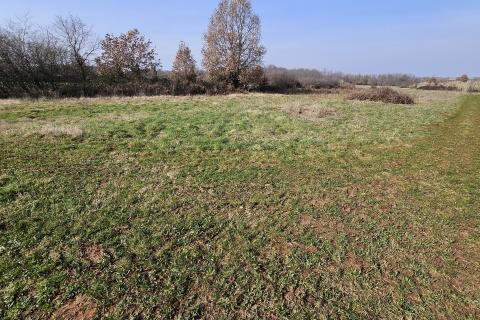 Земельный участок нестроительного назначения Čepljani, Umag, 2.490m2