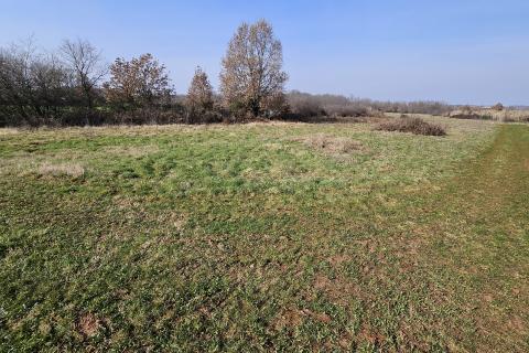 Земельный участок нестроительного назначения Čepljani, Umag, 2.490m2