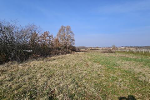 Земельный участок нестроительного назначения Čepljani, Umag, 2.490m2