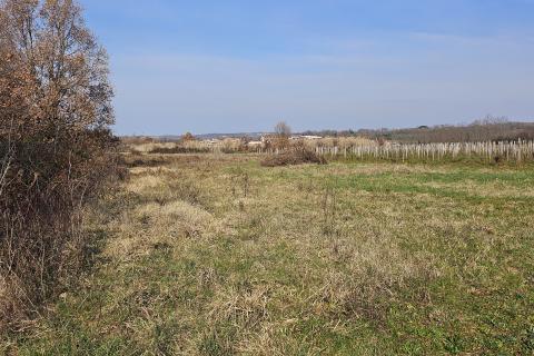 Земельный участок нестроительного назначения Čepljani, Umag, 2.490m2