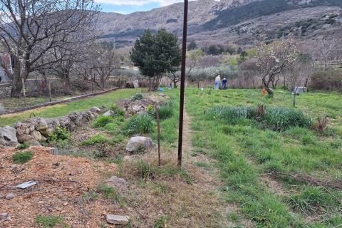 Draga Ba&scaron;ćanska -kuća u nizu s vrtom 