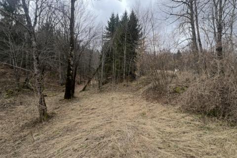 Bouwgrond Stari Laz, Ravna Gora, 1.569m2