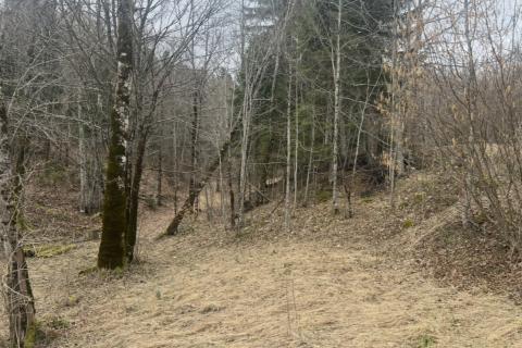 Bouwgrond Stari Laz, Ravna Gora, 1.569m2