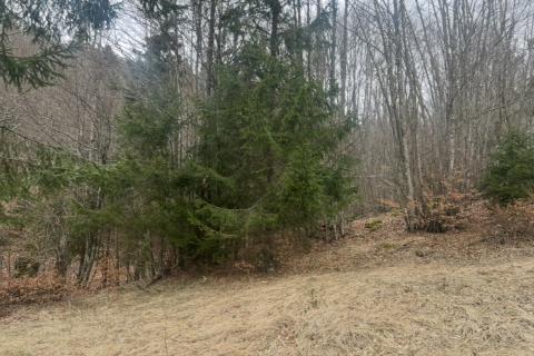 Bouwgrond Stari Laz, Ravna Gora, 1.569m2