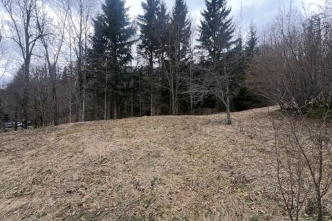 Bouwgrond Stari Laz, Ravna Gora, 1.569m2