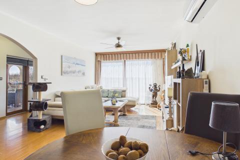 Istra , Poreč okolica - Samostojeća kuća sa 4 apartmana i bazenom