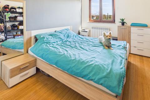 Istra , Poreč okolica - Samostojeća kuća sa 4 apartmana i bazenom