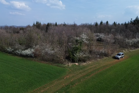 Istra, Vižinada, okolica - oranica 17.273 m&sup2; &ndash; odmah spremna za obradu