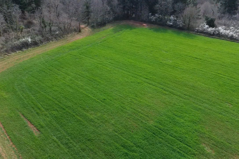 Istra, Vižinada, okolica - oranica 17.273 m&sup2; &ndash; odmah spremna za obradu