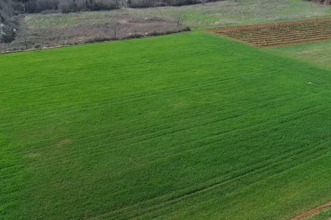 Istra, Vižinada, okolica - oranica 17.273 m&sup2; &ndash; odmah spremna za obradu