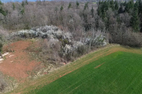 Istra, Vižinada, okolica - oranica 17.273 m&sup2; &ndash; odmah spremna za obradu