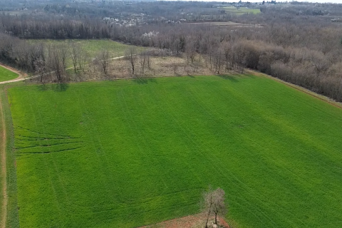 Istra, Vižinada, okolica - plodna oranica 11.458 m2
