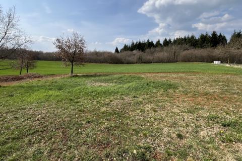 Istra, Vižinada, okolica - plodna oranica 11.458 m2