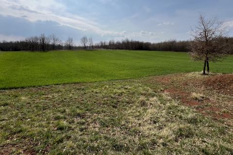 Istra, Vižinada, okolica - plodna oranica 11.458 m2