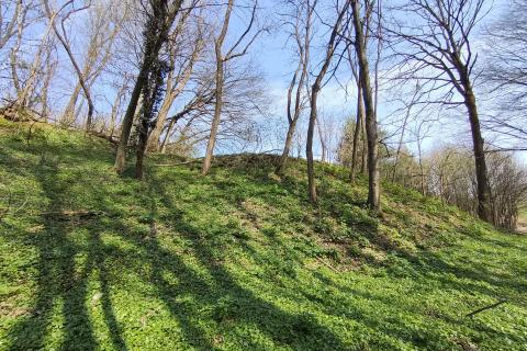 Niet bouwgrond &Scaron;varča, Karlovac, 990m2