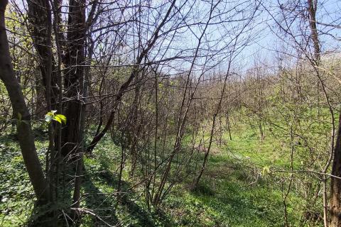 Niet bouwgrond &Scaron;varča, Karlovac, 990m2