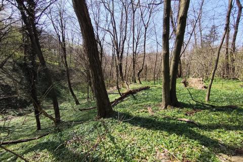 Niet bouwgrond &Scaron;varča, Karlovac, 990m2