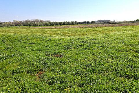 Istra, Brtonigla-poljoprivredno zemlji&scaron;te