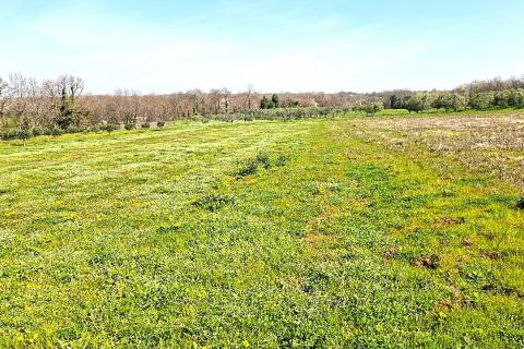 Istra, Brtonigla-poljoprivredno zemlji&scaron;te