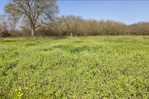 Istra, okolica Umaga-građevinsko zemlji&scaron;te