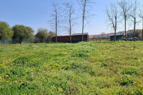 Istra, okolica Umaga-građevinsko zemlji&scaron;te