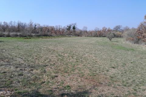 Istra,Bo&scaron;kari,građevinsko-poljoprivredno zemlji&scaron;te 