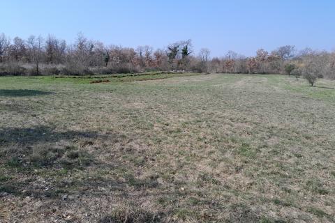 Istra,Bo&scaron;kari,građevinsko-poljoprivredno zemlji&scaron;te 