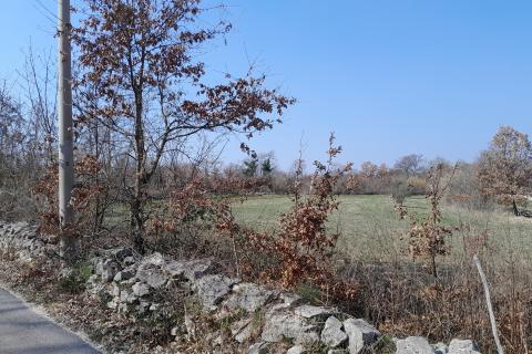 Istra,Bo&scaron;kari,građevinsko-poljoprivredno zemlji&scaron;te 