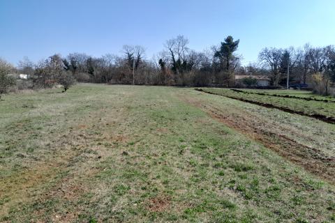 Istra,Bo&scaron;kari,građevinsko-poljoprivredno zemlji&scaron;te 