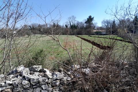 Istra,Bo&scaron;kari,građevinsko-poljoprivredno zemlji&scaron;te 