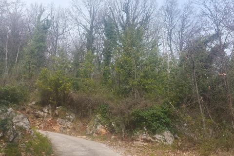 Opatija - Oprić - 1455 m2 negrađevinski teren